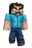 Warped21 Minecraft avatar full body