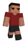 Wartony Minecraft avatar full body