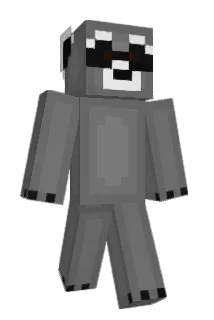 WasbeerCas Minecraft avatar full body