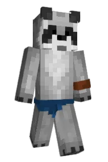 Waschbaer243 Minecraft avatar full body