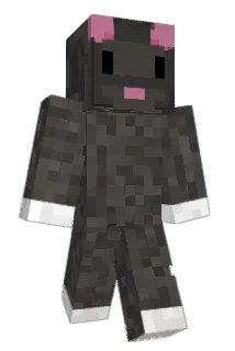 WashedHat Minecraft avatar full body
