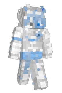 WashiMC Minecraft avatar full body