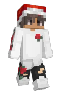 WasillPL Minecraft avatar full body