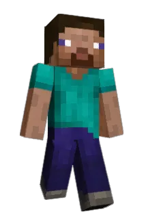 Wassabistar Minecraft avatar full body