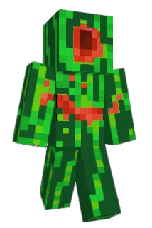WassamelonZ Minecraft avatar full body