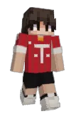 Wastbay Minecraft avatar full body