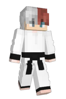 Wasteddreamer1 Minecraft avatar full body