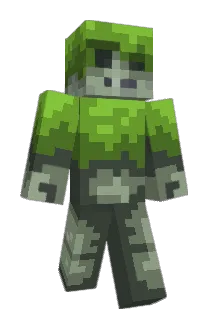 Watar0 Minecraft avatar full body
