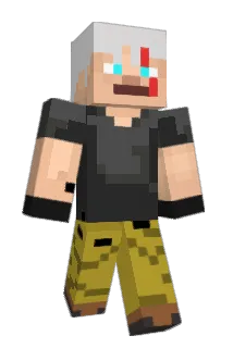 Watch228 Minecraft avatar full body
