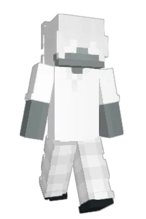WaterRL Minecraft avatar full body
