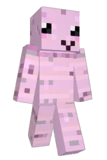 WaterWalvis123 Minecraft avatar full body