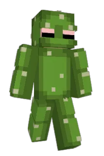 Watermeatsoup Minecraft avatar full body