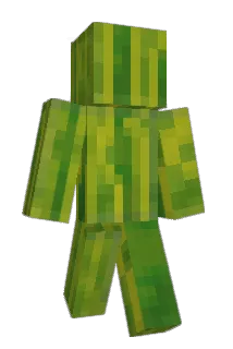 Watermelon_55_ Minecraft avatar full body
