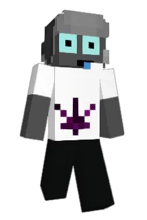 WattzXZ Minecraft avatar full body