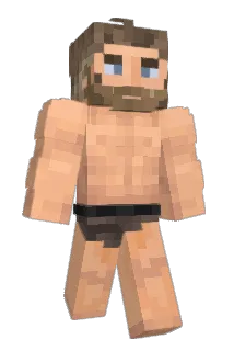 Wawa9022 Minecraft avatar full body