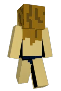 WayneWoone Minecraft avatar full body