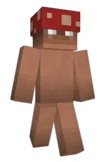 WbWb Minecraft avatar full body