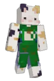 Wcar Minecraft avatar full body