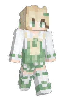 Wdnmd_nmsl233 Minecraft avatar full body