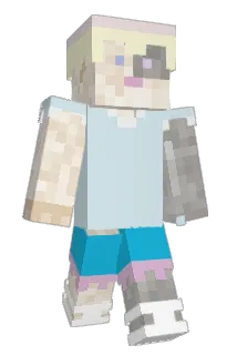 WeALLPlay Minecraft avatar full body