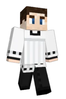 WeNeedVAC Minecraft avatar full body
