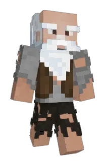 WeSoow_ Minecraft avatar full body