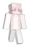 Weaonal Minecraft avatar full body