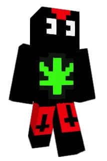 WebbyRaccoon201 Minecraft avatar full body