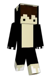 Weini24 Minecraft avatar full body