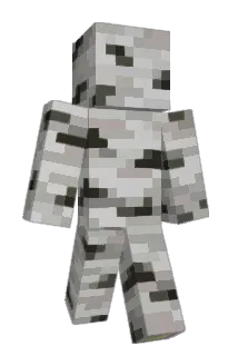 Weirdboibruh Minecraft avatar full body