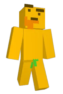 Welco05 Minecraft avatar full body