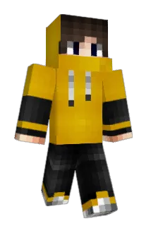 Wells2014 Minecraft avatar full body