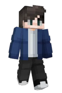 Welterweight Minecraft avatar full body