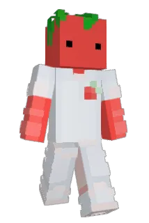 WenWatch Minecraft avatar full body