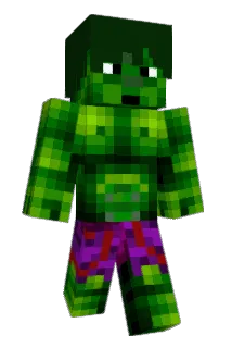 Wendelim Minecraft avatar full body