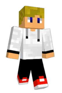 Wenok53 Minecraft avatar full body