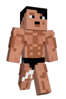 Wensinck Minecraft avatar full body