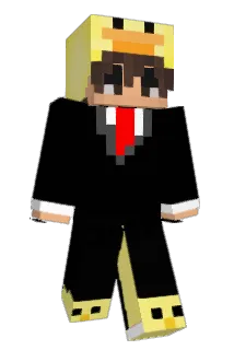 Wenstr0m Minecraft avatar full body