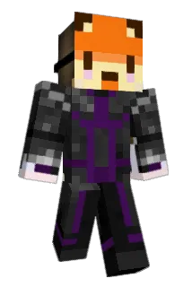 Wenzwenz Minecraft avatar full body
