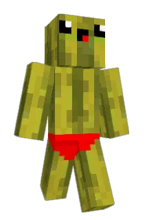 Wer0xx_ Minecraft avatar full body
