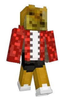 Werkkon Minecraft avatar full body