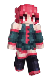 Wertertert Minecraft avatar full body
