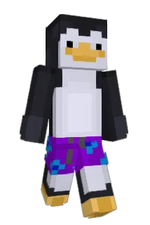 Wertiju Minecraft avatar full body