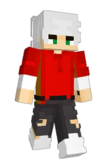 WetPigeon Minecraft avatar full body