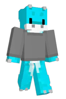 WetToast__ Minecraft avatar full body