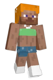 Wetowd Minecraft avatar full body