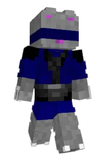 Minecraft-Avatar von Wfrost_: ganzer Körper