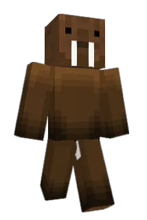 WhatTheHeck2 Minecraft avatar full body