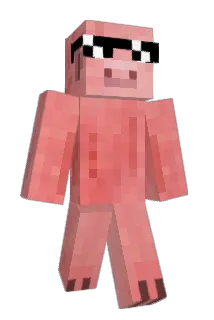 WheelChair9 Minecraft avatar full body