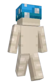WheelieWildMan Minecraft avatar full body